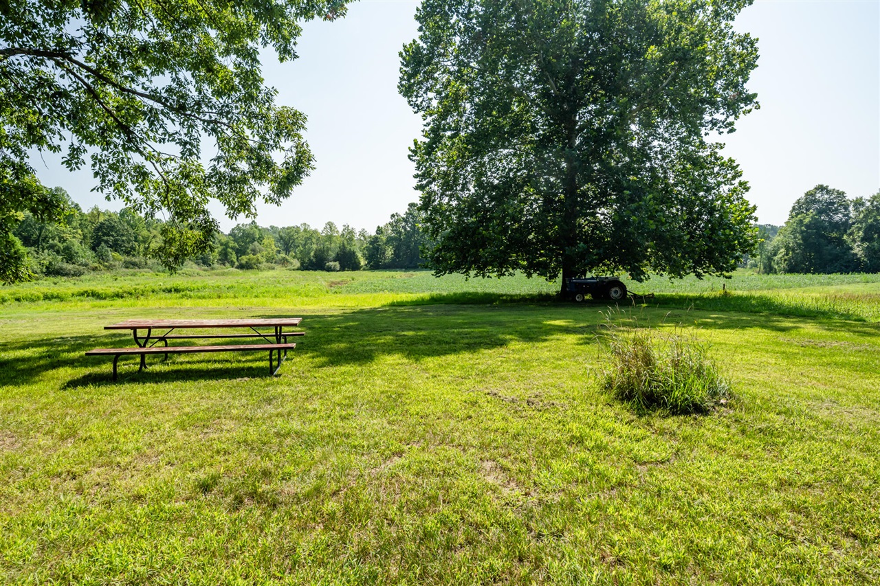 7462 West Martin Road Three Oaks, MI 49128 - Photo 14 of 21