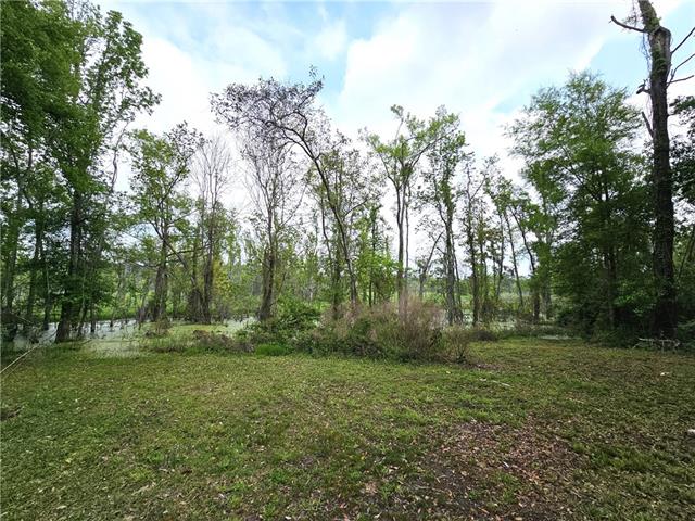 40477 Crawford Landing Road Slidell, LA 70461 - Photo 37 of 47