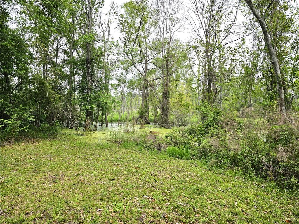 40477 Crawford Landing Road Slidell, LA 70461 - Photo 38 of 49