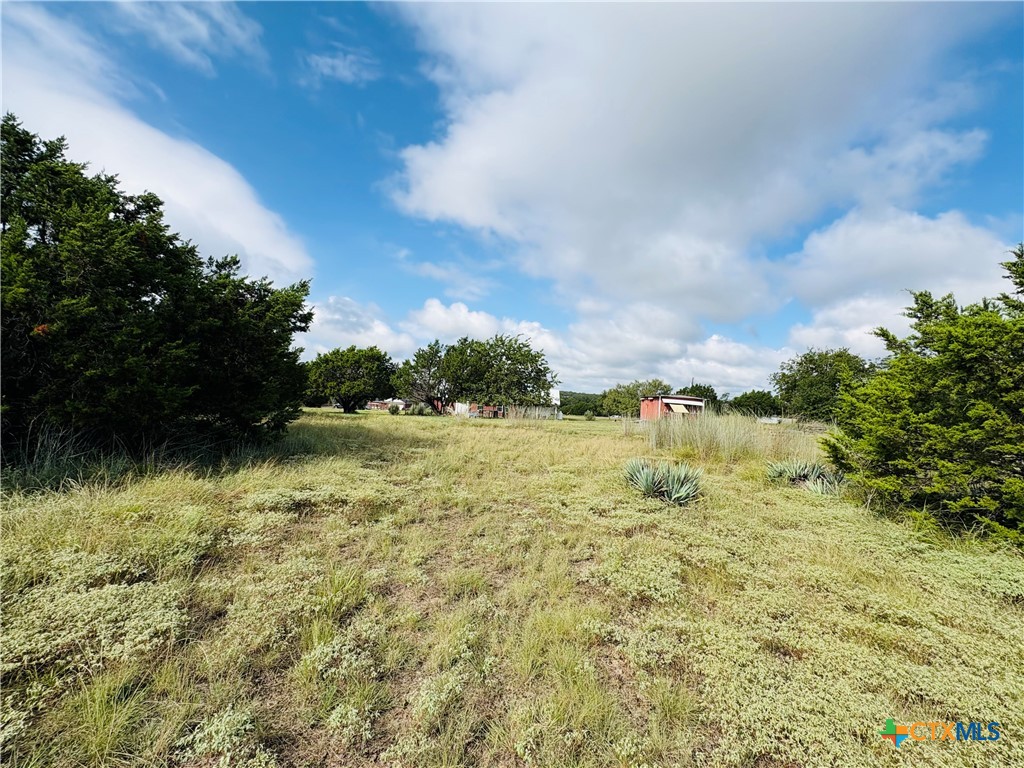 369 County Road 3367 Kempner, TX 76539 - Photo 18 of 18 a view of a lake from a yard