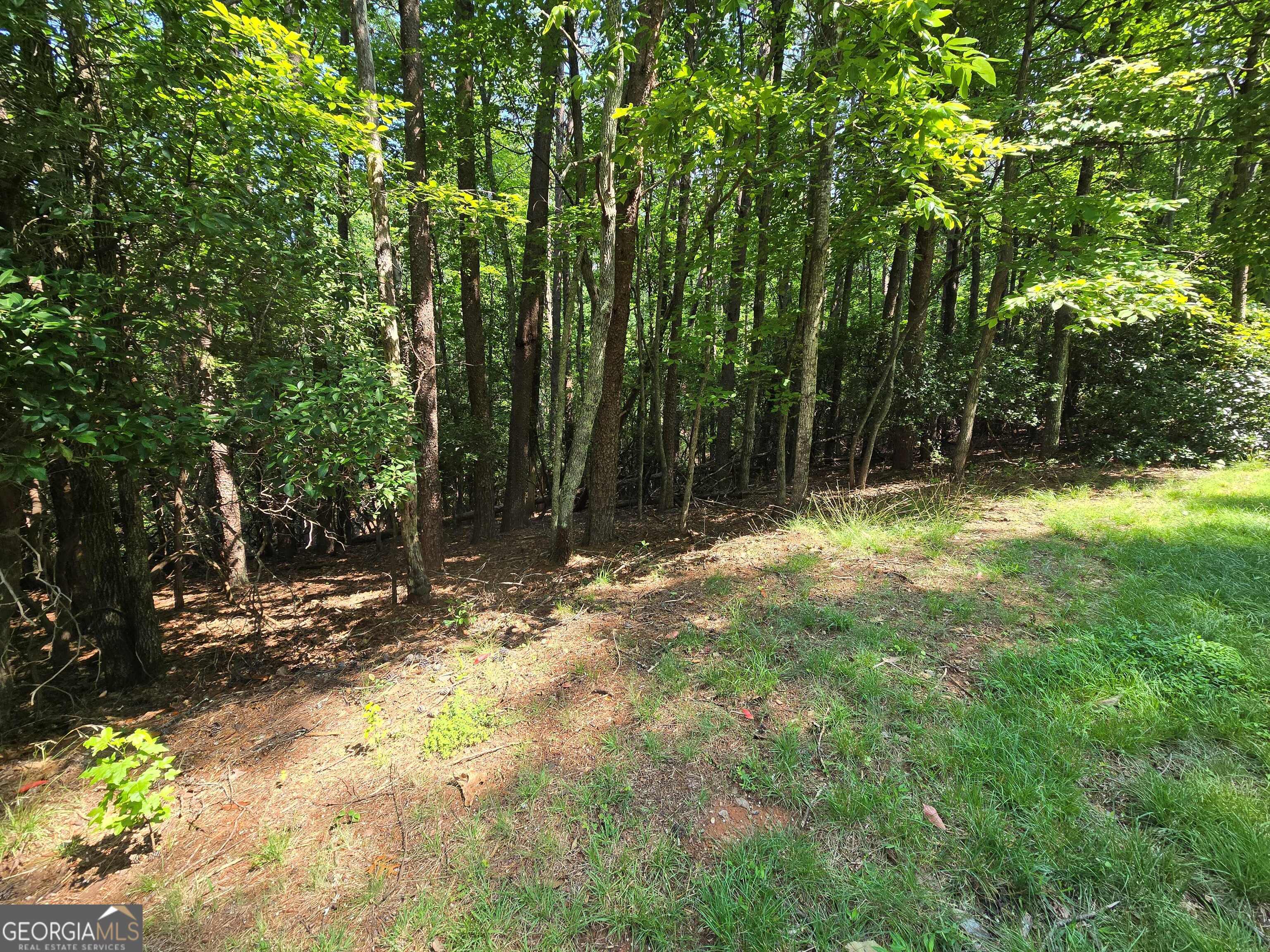 C2 Quail Run Sautee Nacoochee, GA 30571 - Photo 6 of 17