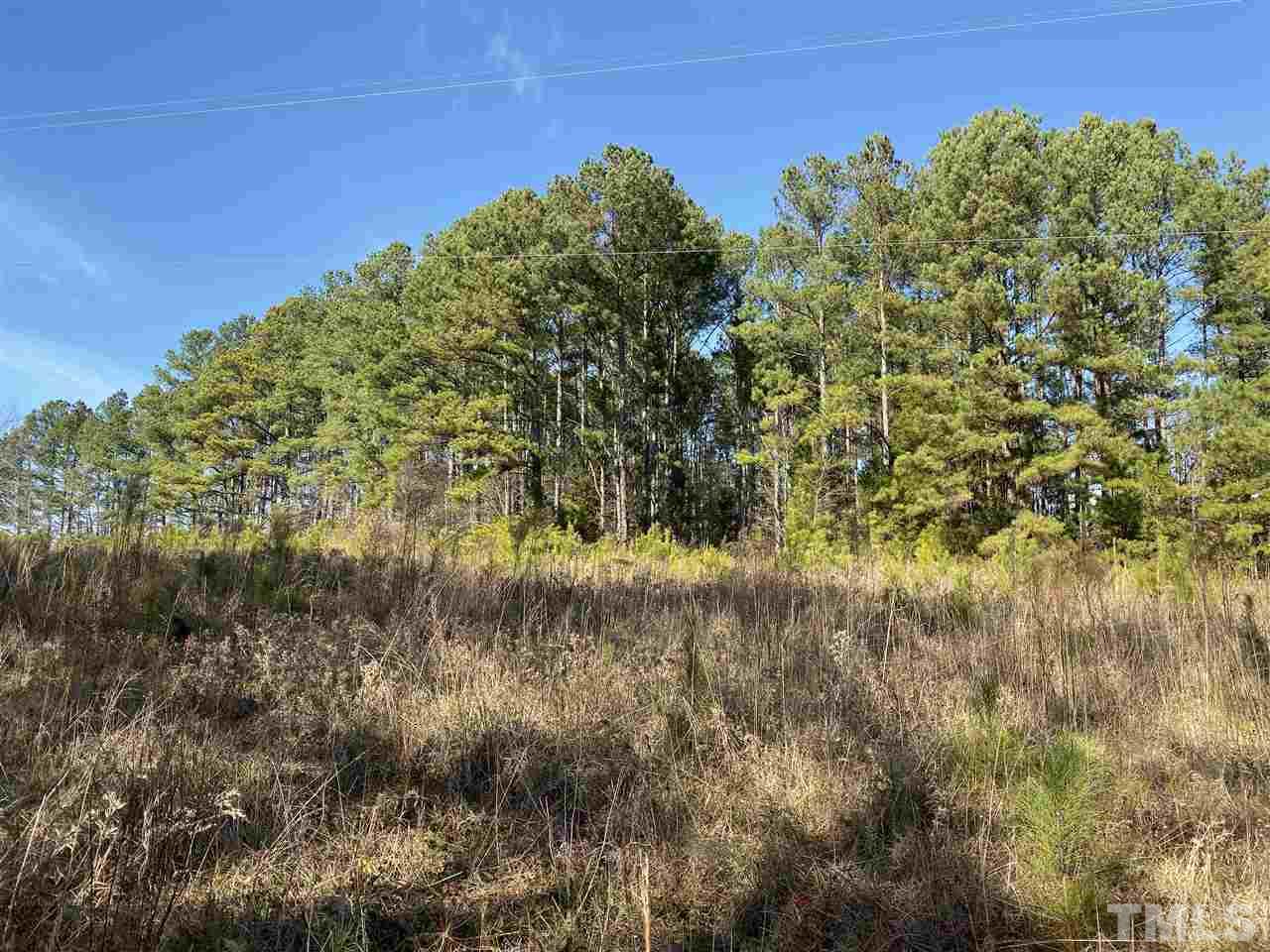0 Dycus Road Sanford, NC 27330 - Photo 2 of 3 Gallery Image 2