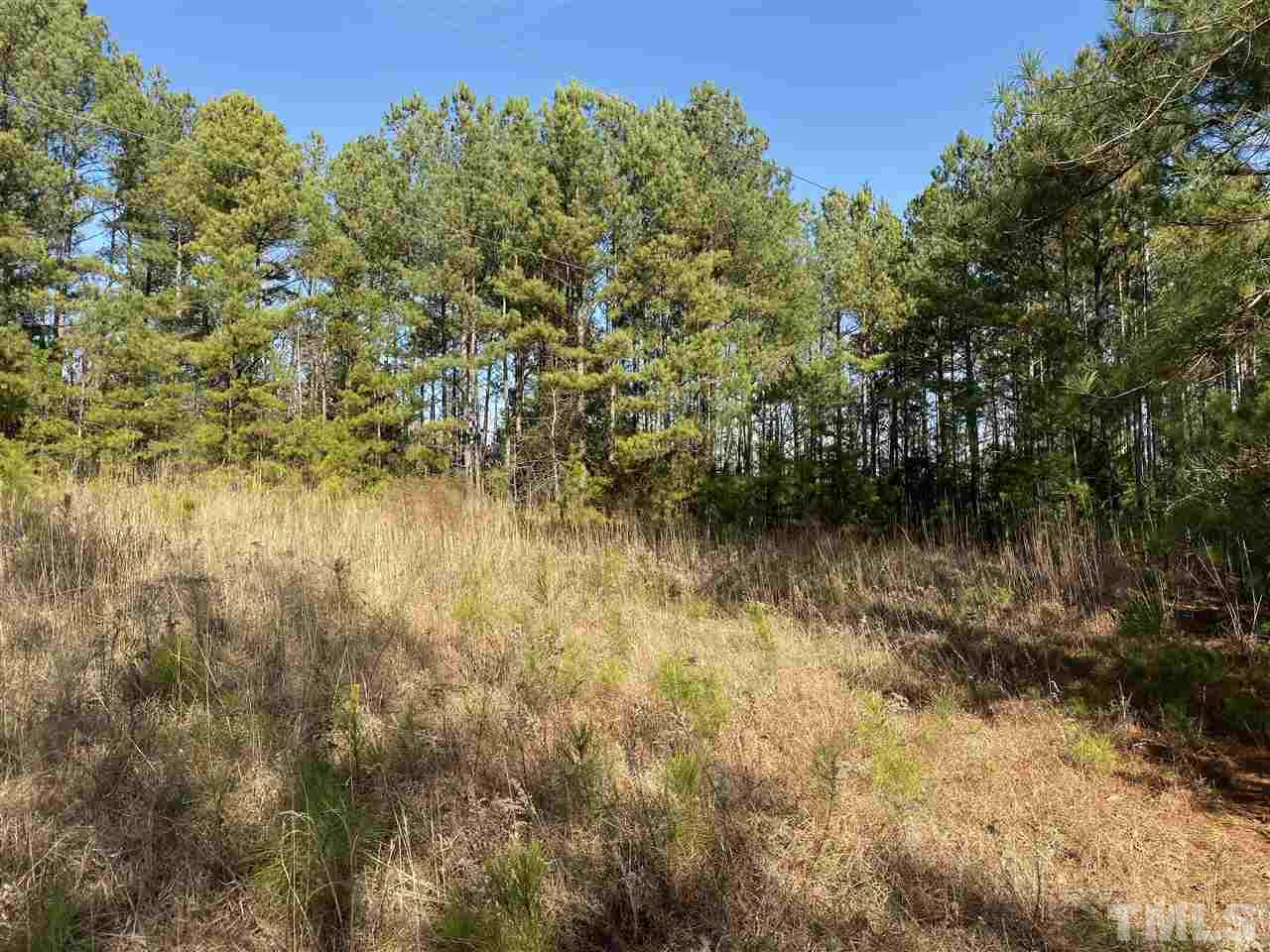 0 Dycus Road Sanford, NC 27330 - Photo 3 of 3 Gallery Image 3