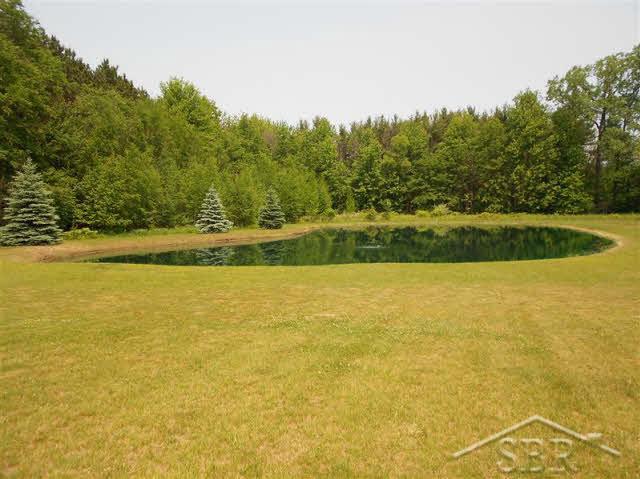 18275 Nelson Road St. Charles, MI 48655 - Photo 12 of 15 20032804-11.JPG