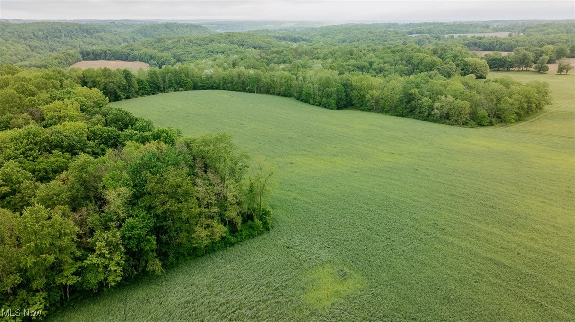 36328 Eagleton Road Lisbon, OH 44432 - Photo 9 of 49 Aerial view