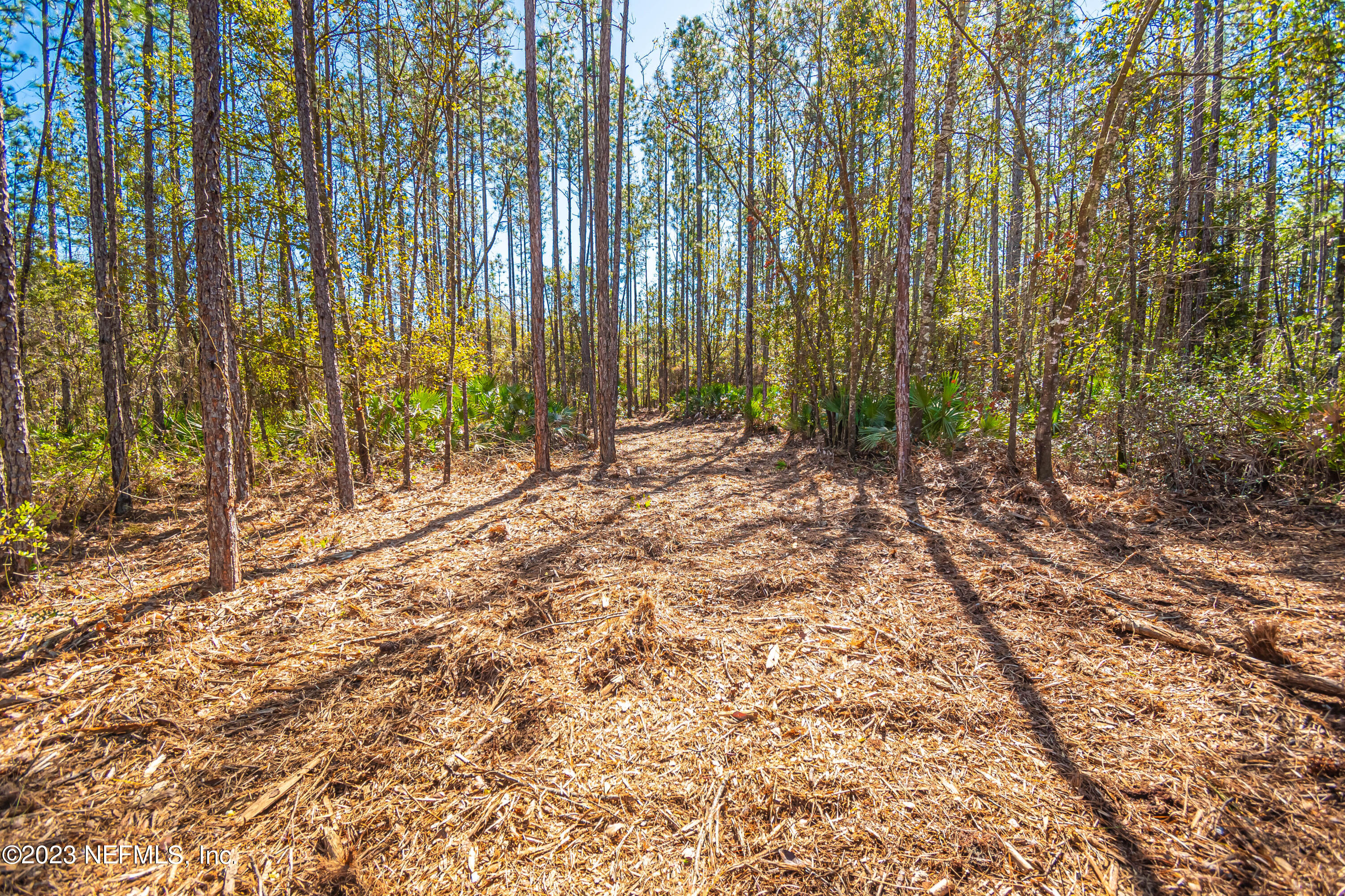 Lot 3 Steel Bridge Road Macclenny, FL 32063 - Photo 3 of 12 untitled-3370