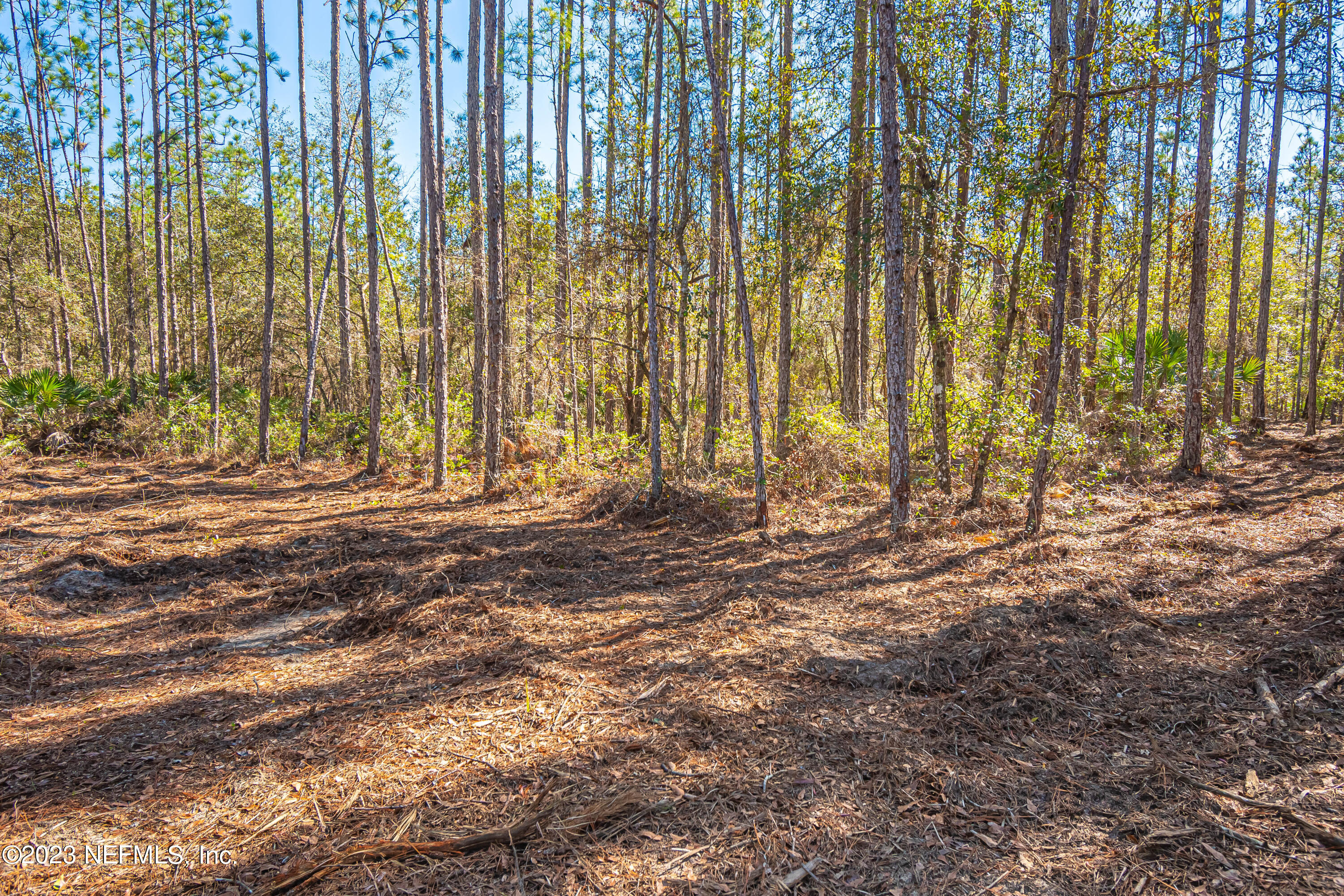 Lot 3 Steel Bridge Road Macclenny, FL 32063 - Photo 5 of 12 untitled-3376