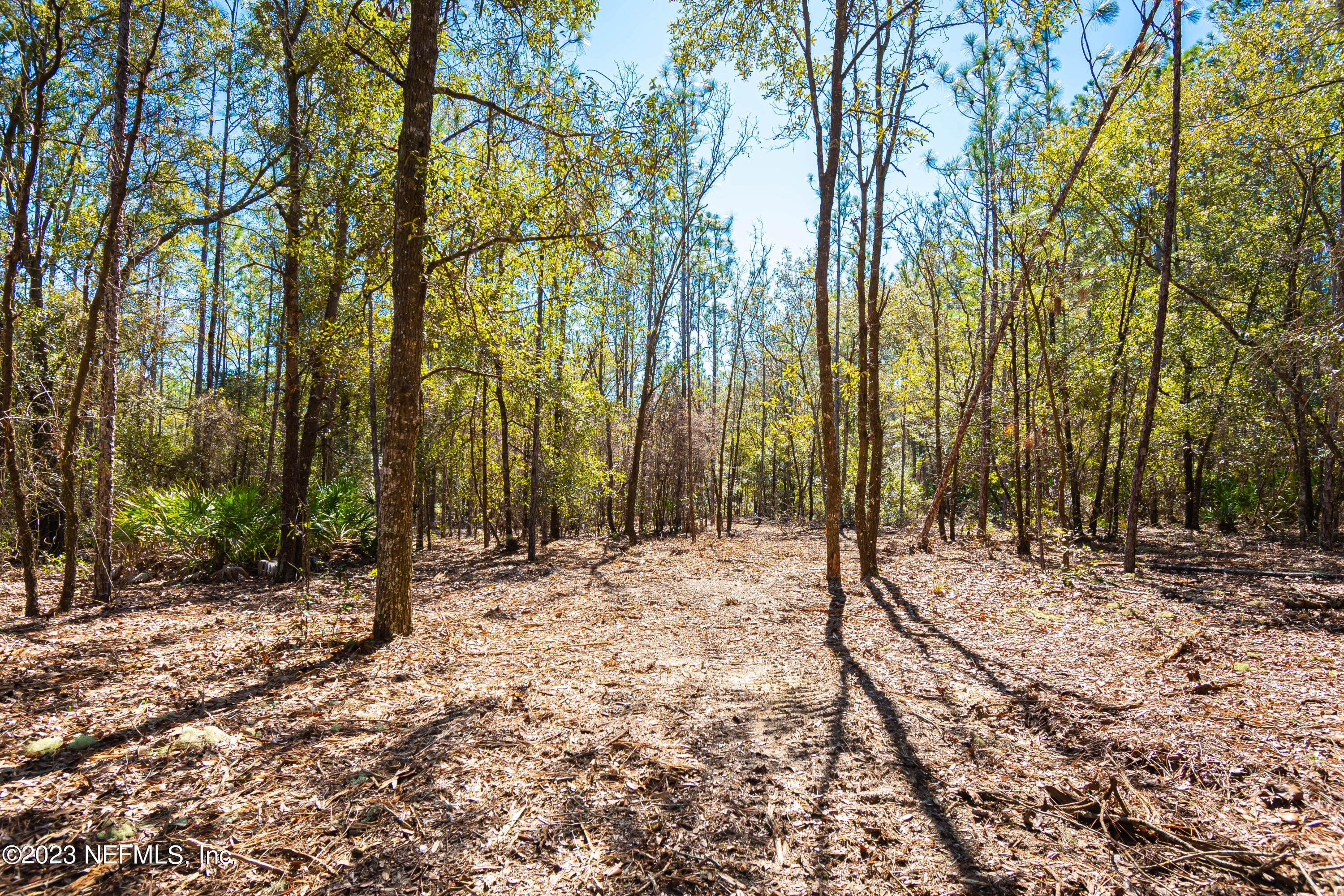Lot 3 Steel Bridge Road Macclenny, FL 32063 - Photo 8 of 12 untitled-3384