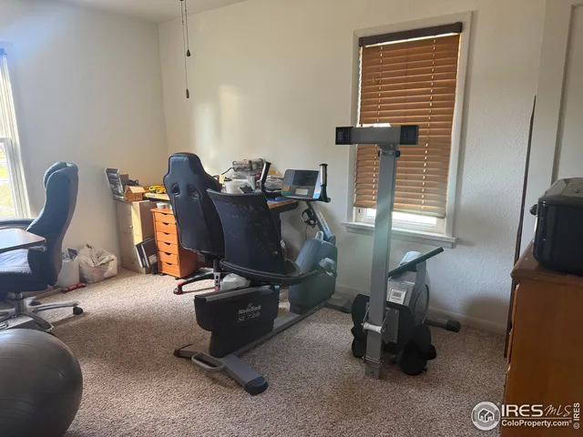 a view of workspace with gym equipment