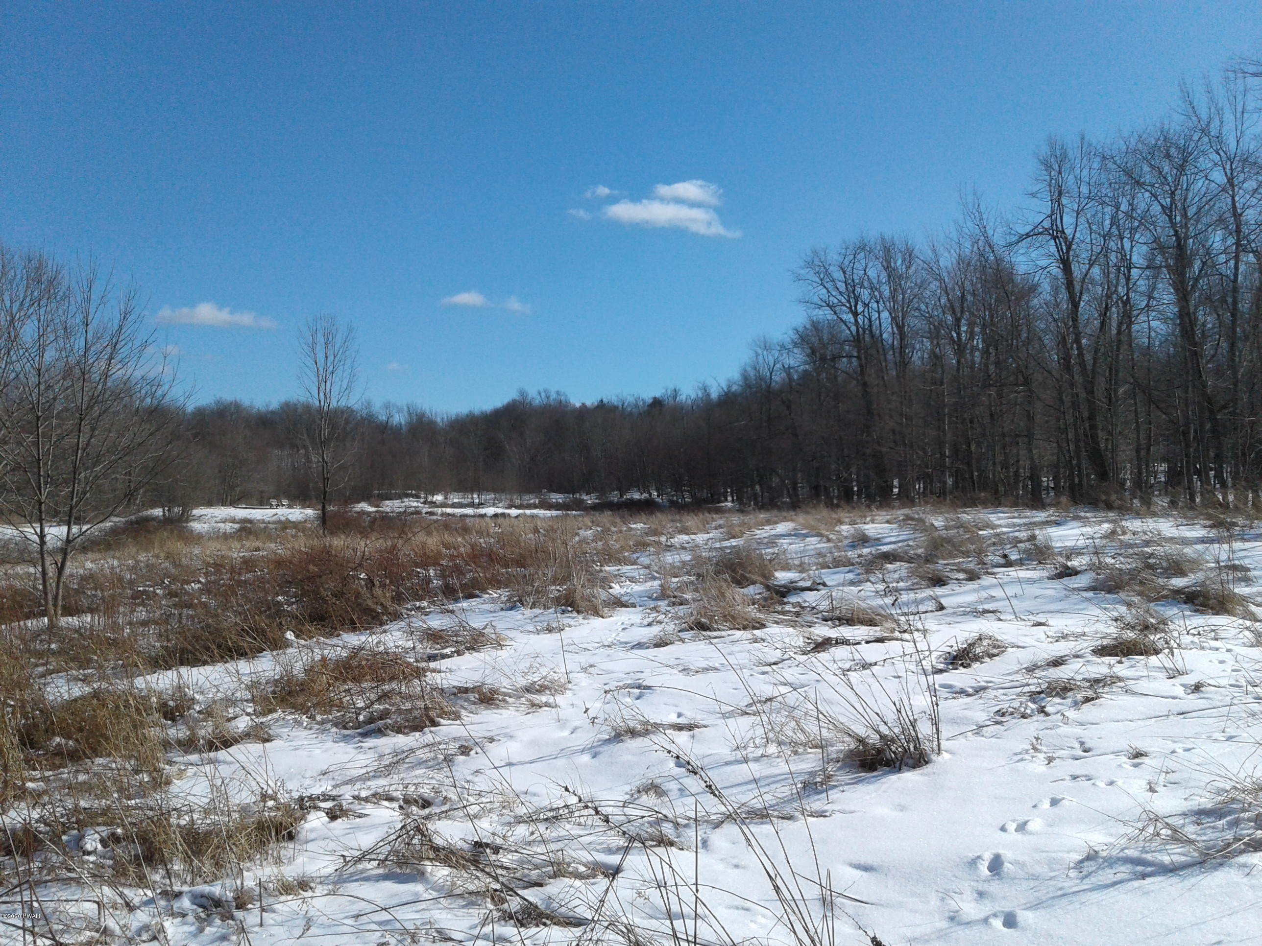 Hickory Hill Road Starrucca, PA 18462 - Photo 6 of 15