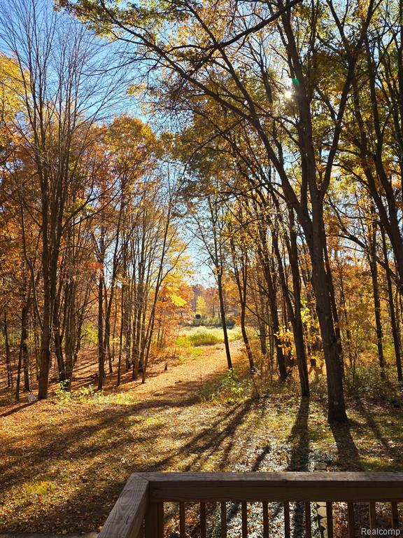 3316 Haynes Road Leslie, MI 49251 - Photo 65 of 73 Gallery Image 65