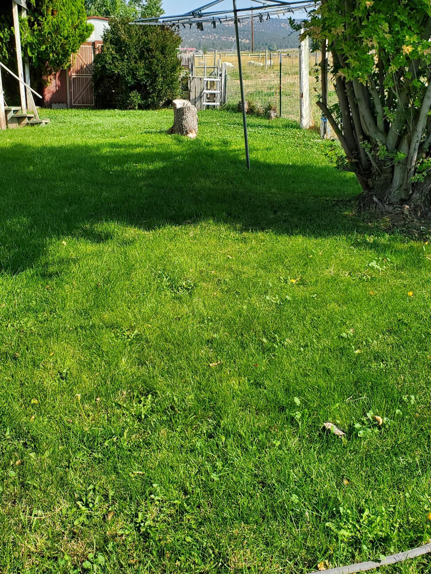 7552 Edwards Road Prineville, OR 97754 - Photo 6 of 18 Back Lawn