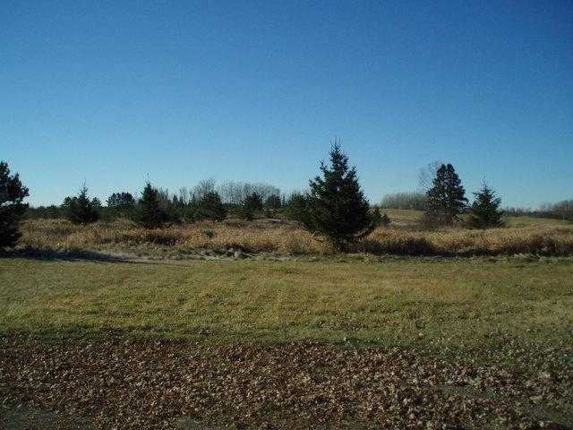 146 West Harney Road Esko, MN 55733 - Photo 3 of 17 Gallery Image 3