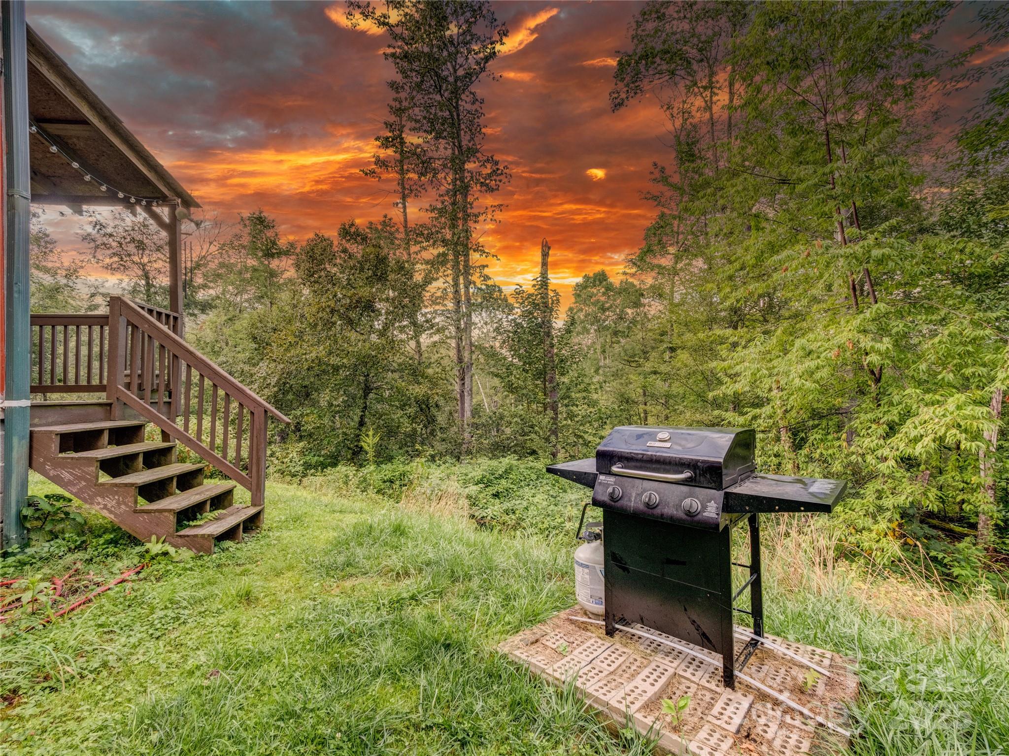 5349 Hickory Nut Gap Road Newland, NC 28657 - Photo 22 of 34 a view of a yard with a slide