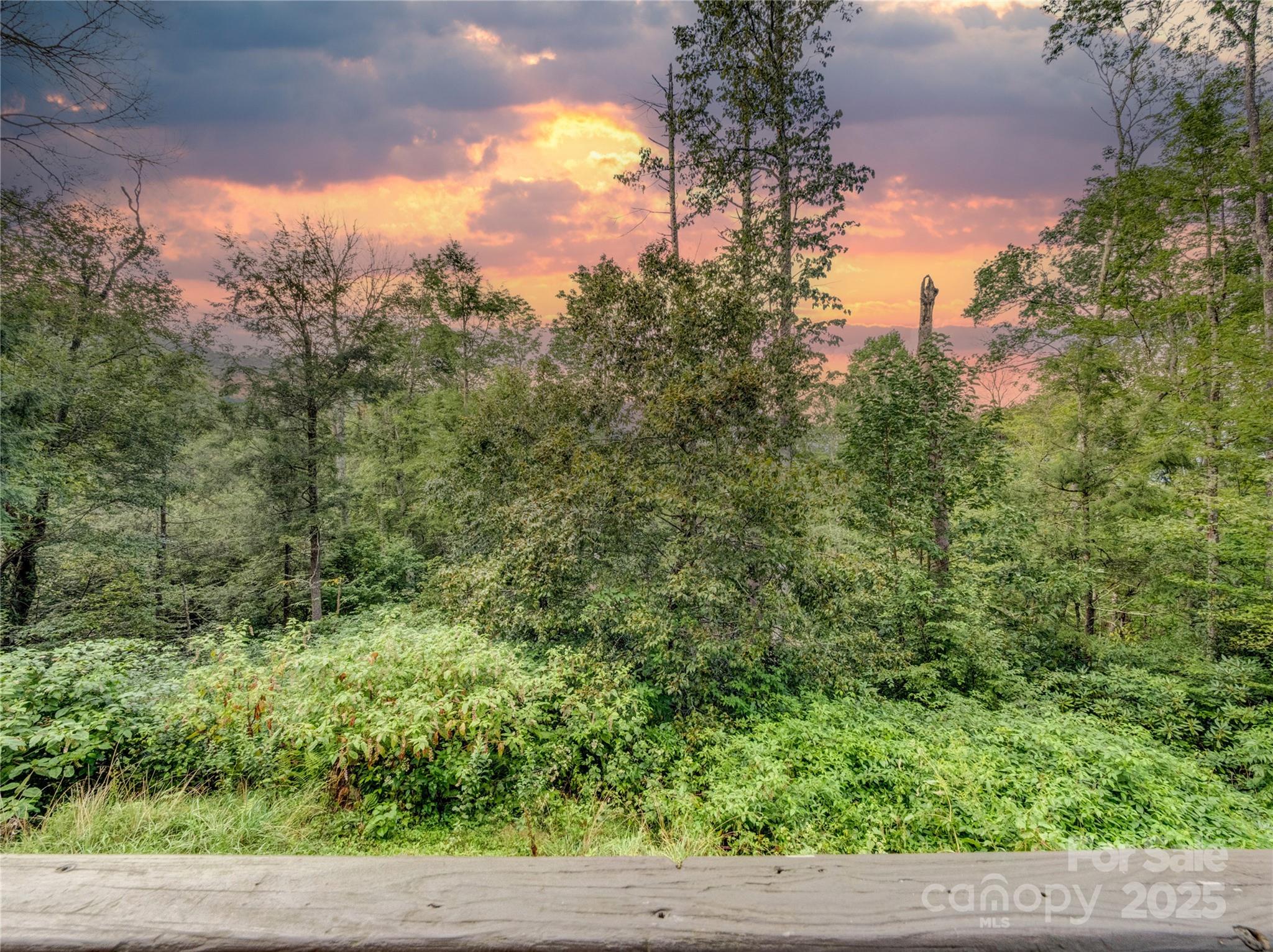 5349 Hickory Nut Gap Road Newland, NC 28657 - Photo 24 of 34 a view of a yard with a tree