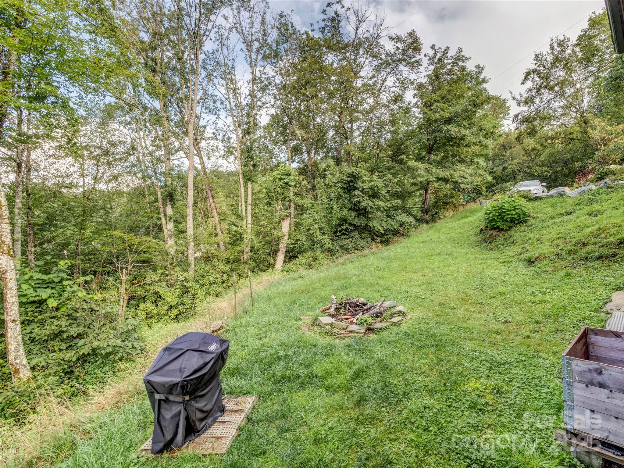 5349 Hickory Nut Gap Road Newland, NC 28657 - Photo 25 of 34