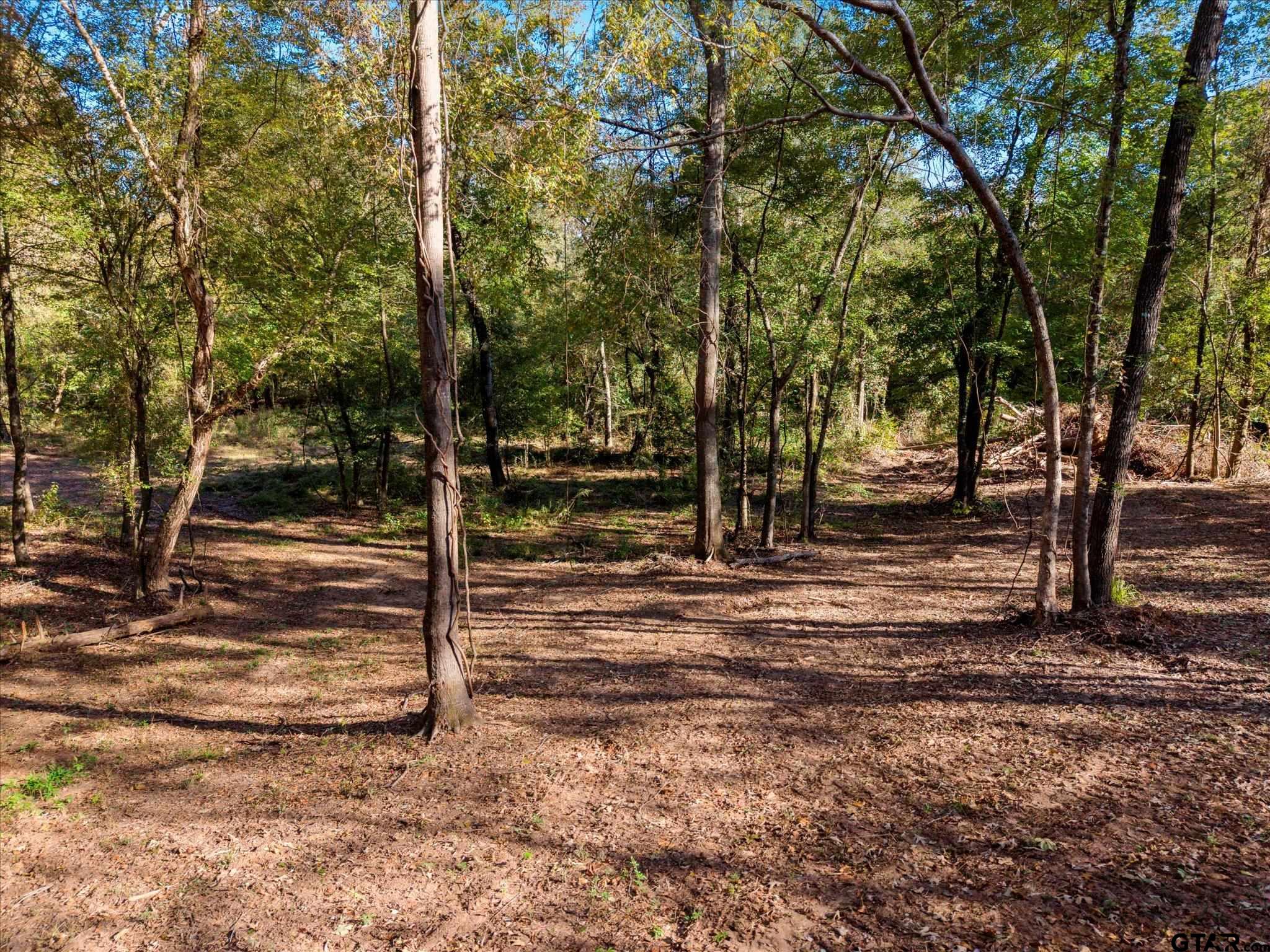 Tbd Woodchuck Road Leesburg, TX 75451 - Photo 11 of 34 Gallery Image 11