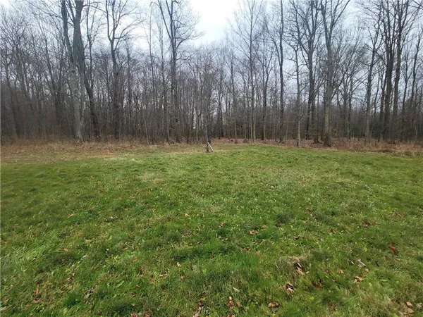 a view of outdoor space with green field and trees