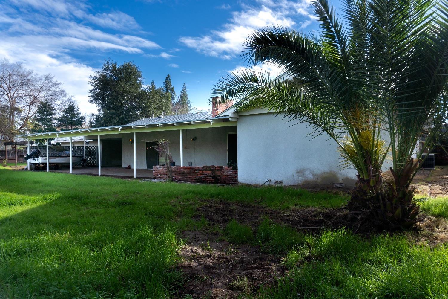 5877 East Dwight Way Fresno, CA 93727 - Photo 23 of 31 a backyard of a house with plants and large tree