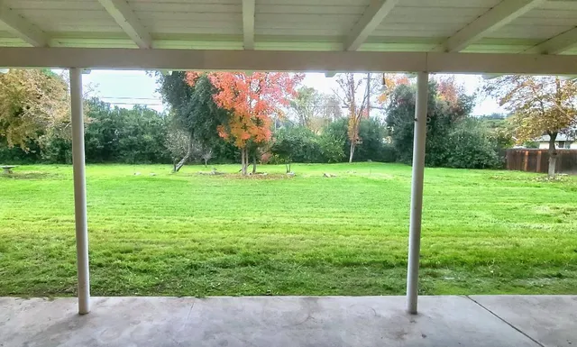 a view of a yard with a big yard