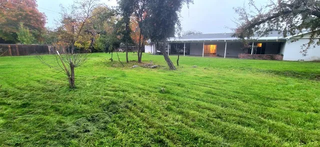 a view of a house with a yard and a tree