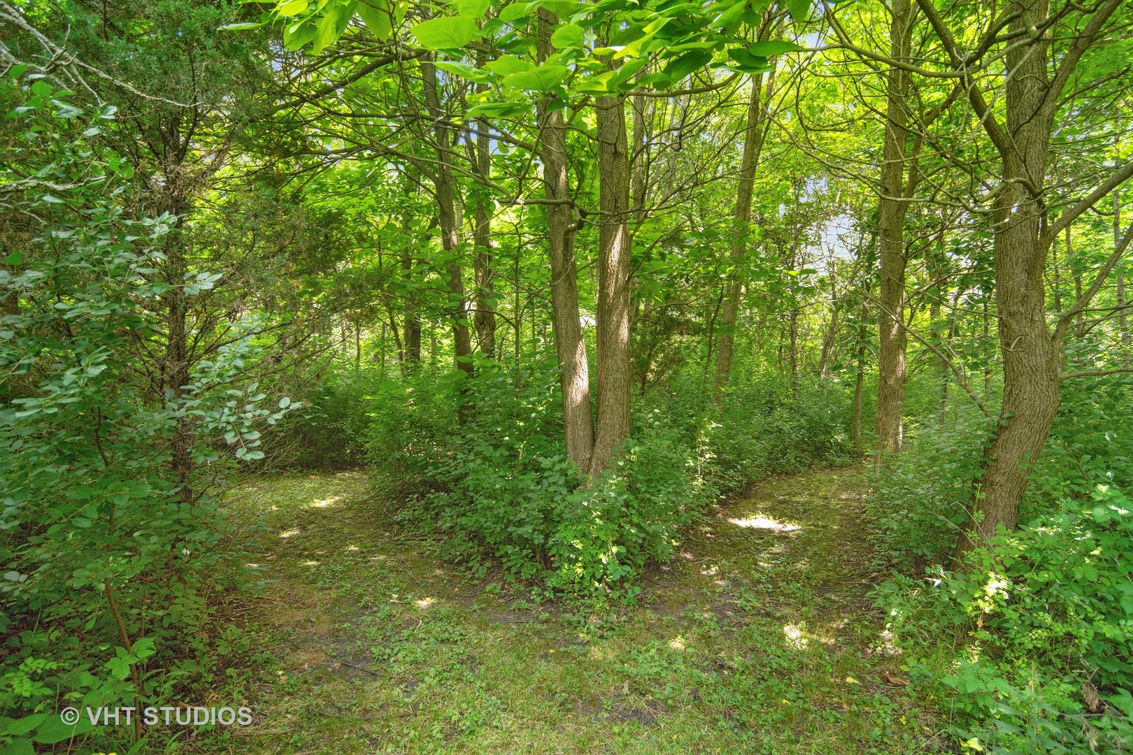 27282 West Cuba Road Barrington, IL 60010 - Photo 28 of 45 a view of a lush green space