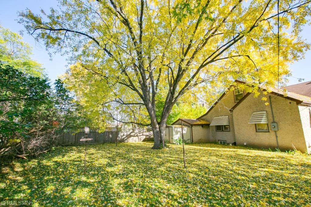 1771 Pascal Street Falcon Heights, MN 55113 - Photo 3 of 22 Gallery Image 3