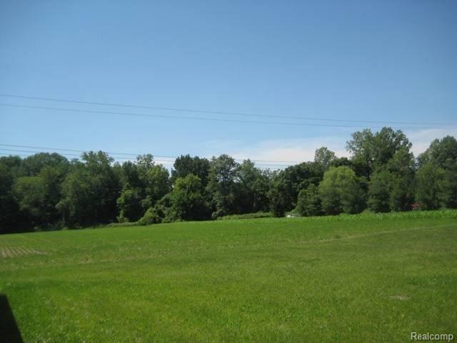31945 Sibley Road Romulus, MI 48174 - Photo 2 of 19 BACK .JPG