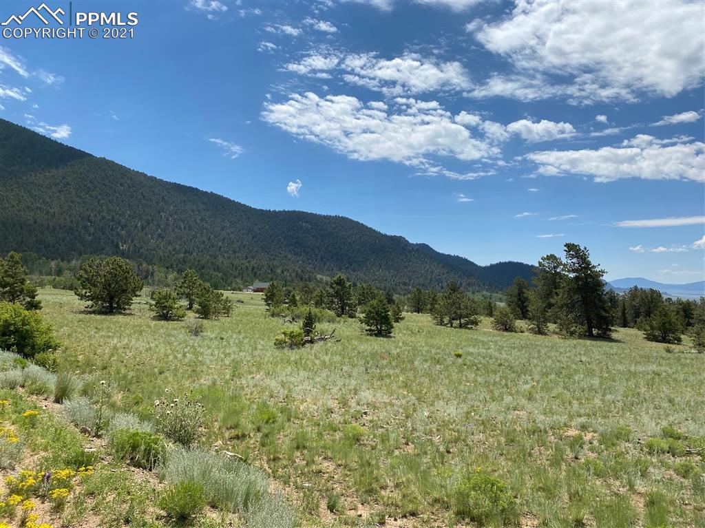 686 Teller Road Lake George, CO 80827 - Photo 1 of 7