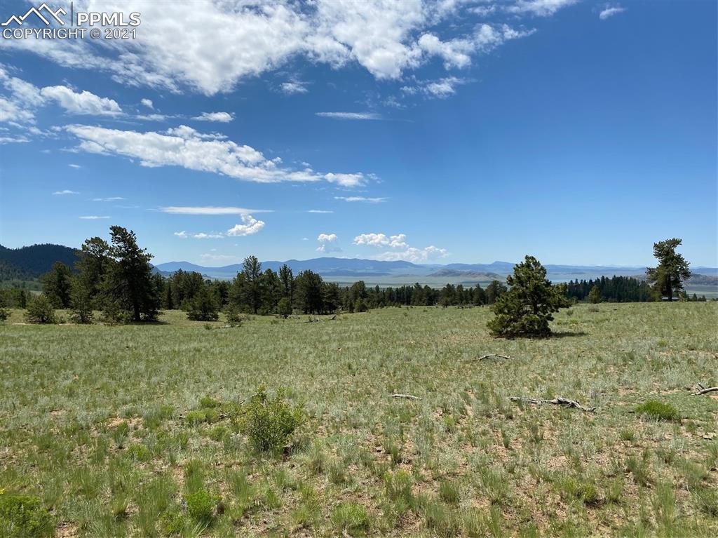 686 Teller Road Lake George, CO 80827 - Photo 2 of 7
