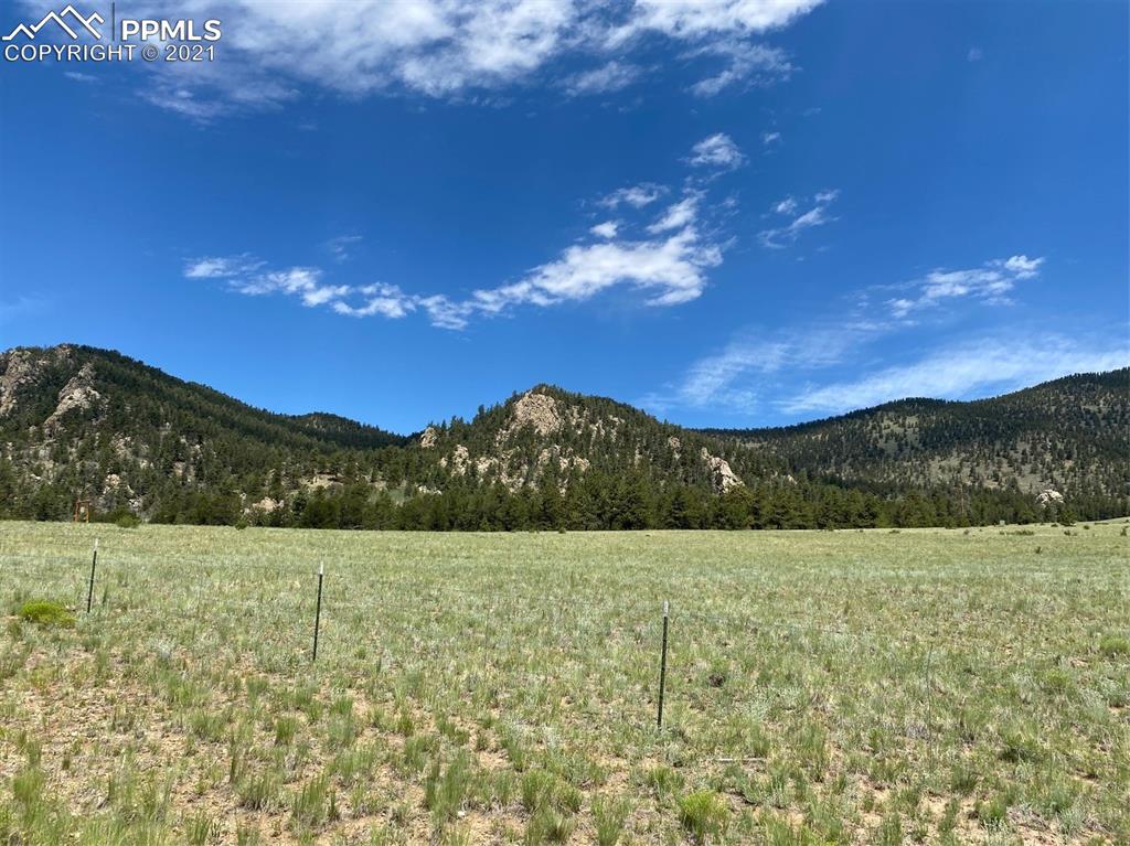 686 Teller Road Lake George, CO 80827 - Photo 3 of 7