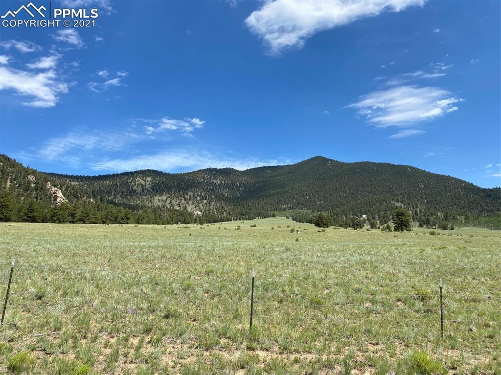 686 Teller Road Lake George, CO 80827 - Photo 4 of 7