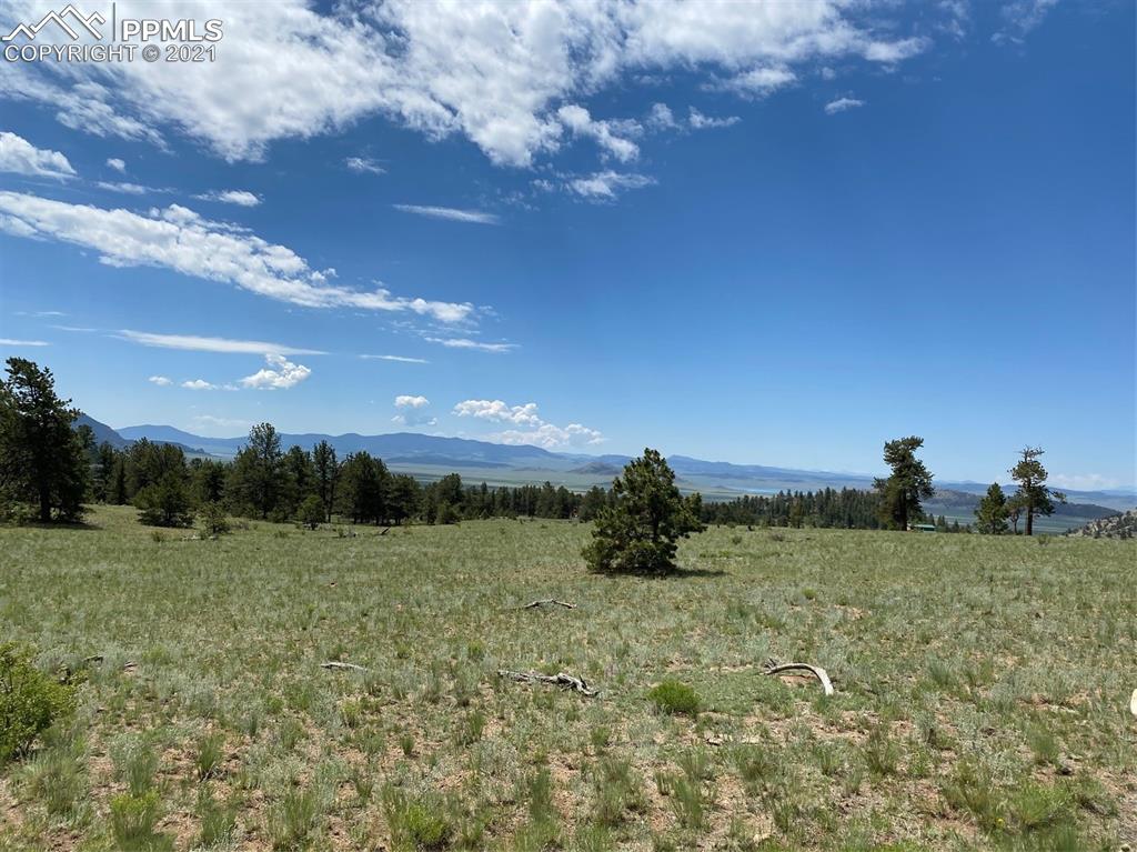 686 Teller Road Lake George, CO 80827 - Photo 5 of 7