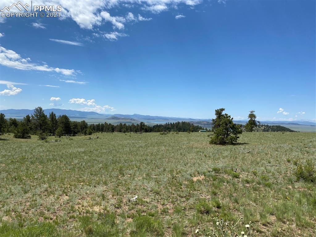 686 Teller Road Lake George, CO 80827 - Photo 6 of 7