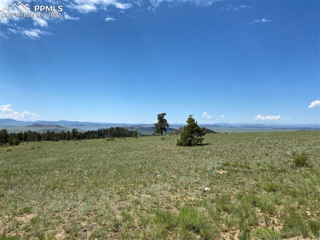 686 Teller Road Lake George, CO 80827 - Photo 7 of 7