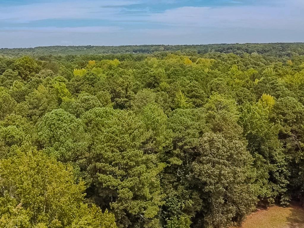 1152 Harbins Road Dacula, GA 30019 - Photo 22 of 33 a view of a yard with an outdoor space