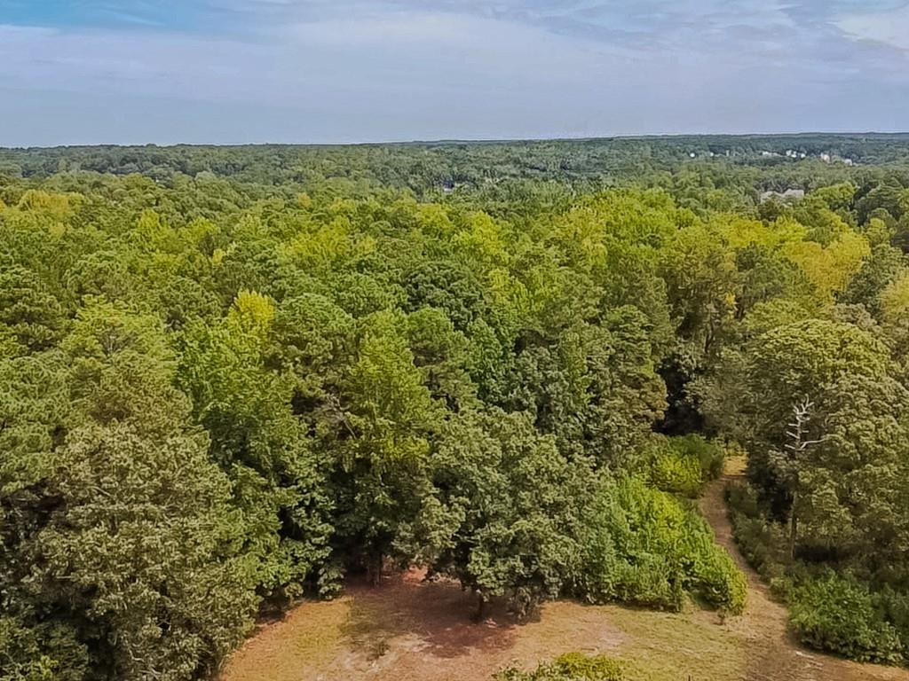 1152 Harbins Road Dacula, GA 30019 - Photo 23 of 33 a view of a yard with an outdoor space