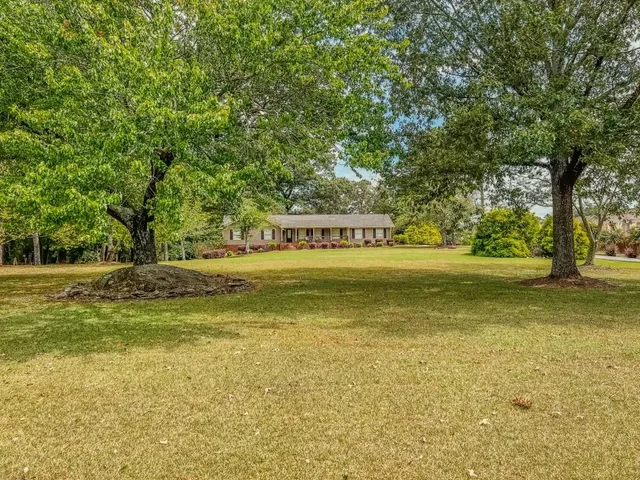 a view of a trees with yard and large trees