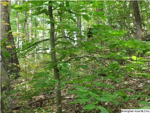 777 Clayton Cove Road, Unit 33 AC Pinson, AL 35126 - Photo 16 of 20
