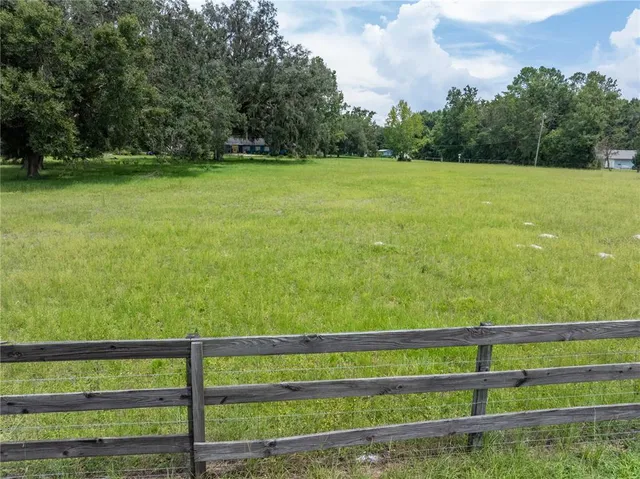 a view of a garden with a tree