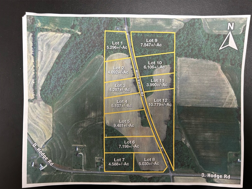 5.296-ac 5.296-ac Road Cottonwood, AL 36320 - Photo 3 of 21