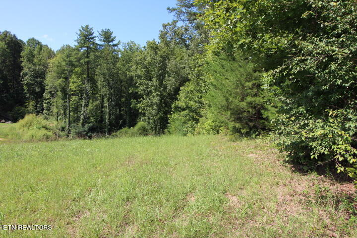 519 Rudd Hollow Road Townsend, TN 37882 - Photo 9 of 10 Rudd Hollow 2 acres 008