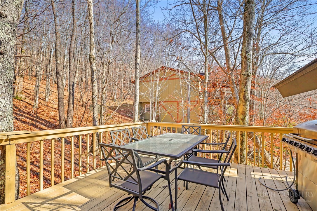 122 Lower Grouse Ridge Road Beech Mountain, NC 28604 - Photo 37 of 45