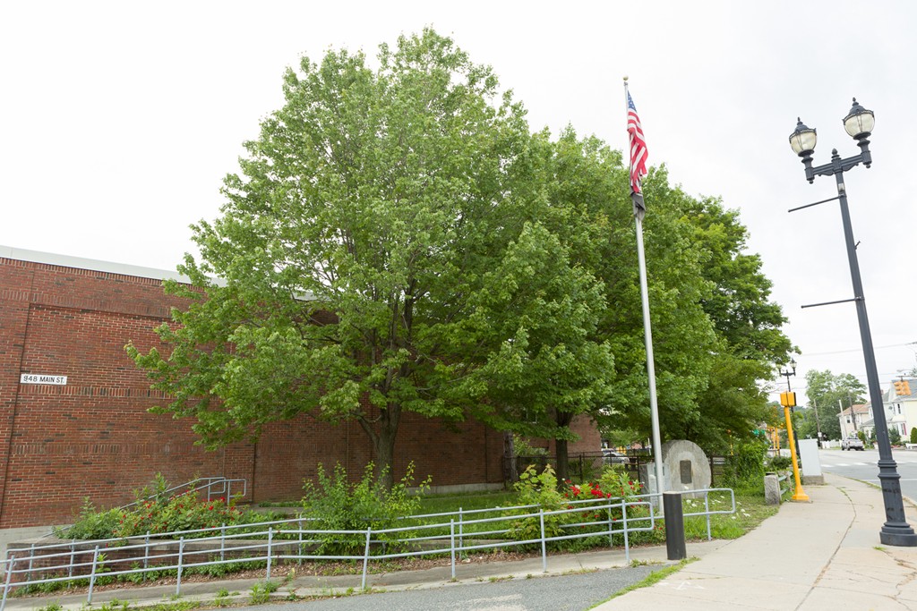 948 Main Street, Unit 203 Waltham, MA 02451 - Photo 18 of 20