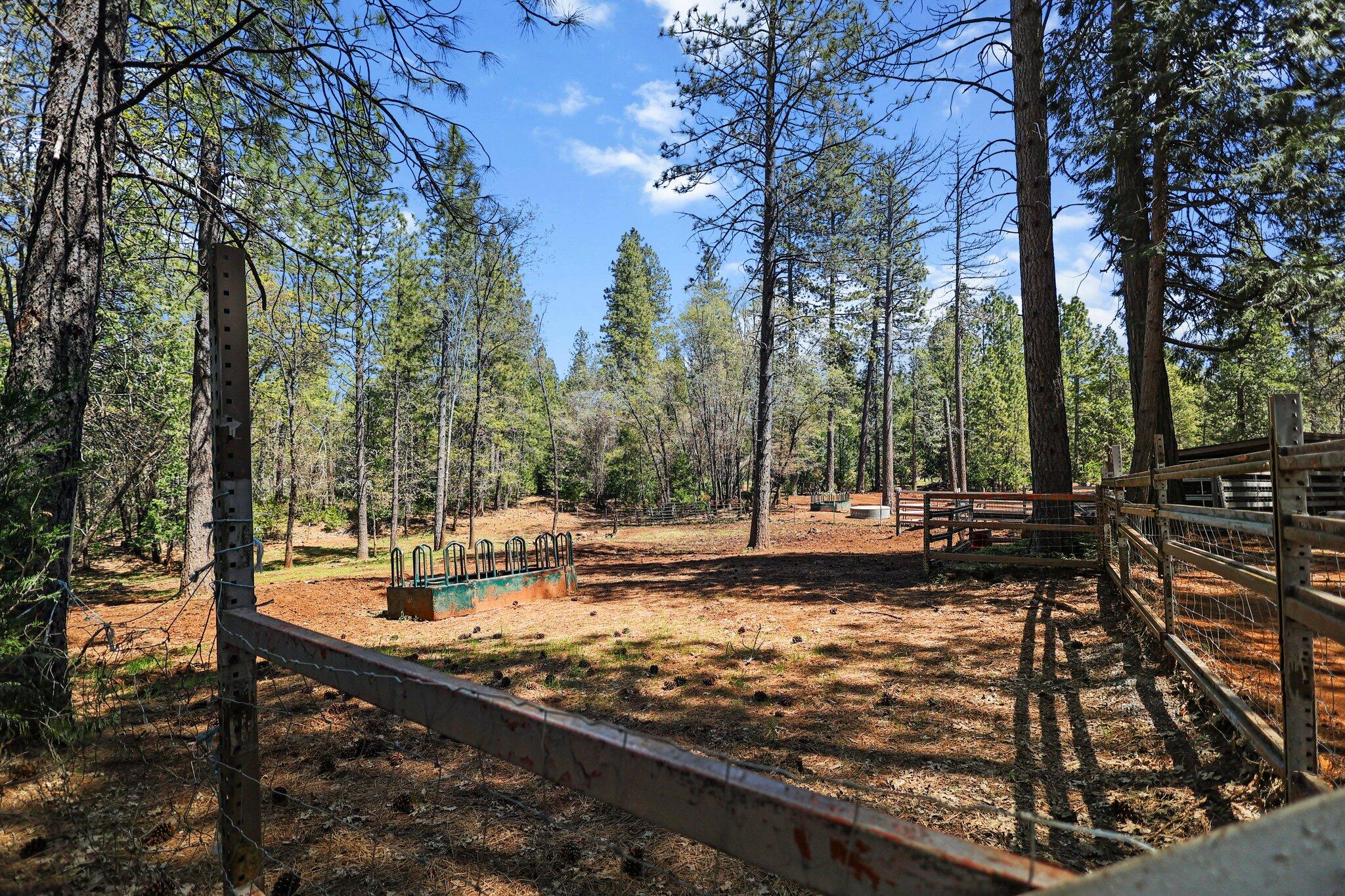 30726 Shingletown Ridge Road Shingletown, CA 96088 - Photo 43 of 84 20-web-or-mls-LZ0A1754
