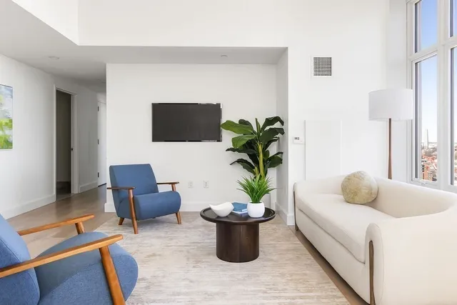 a living room with furniture and a potted plant