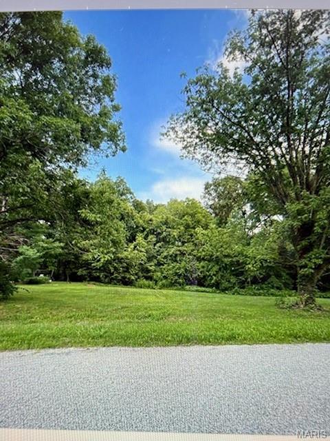 7 Maple Drive Dorsey, IL 62021 - Photo 1 of 1