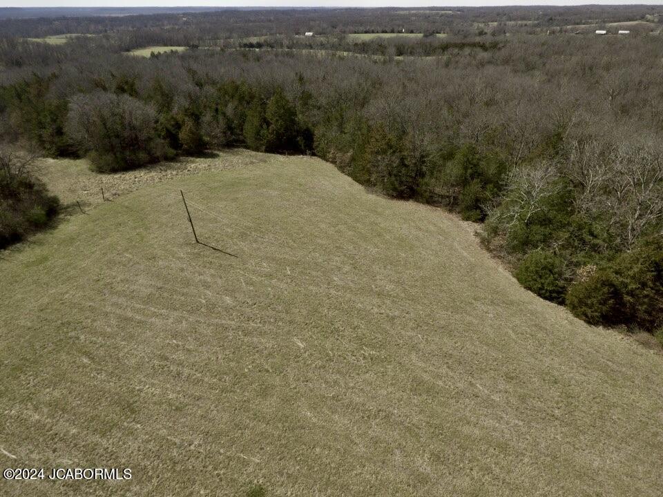 Lot 2 Co Road Holts Summit, MO 65043 - Photo 9 of 23