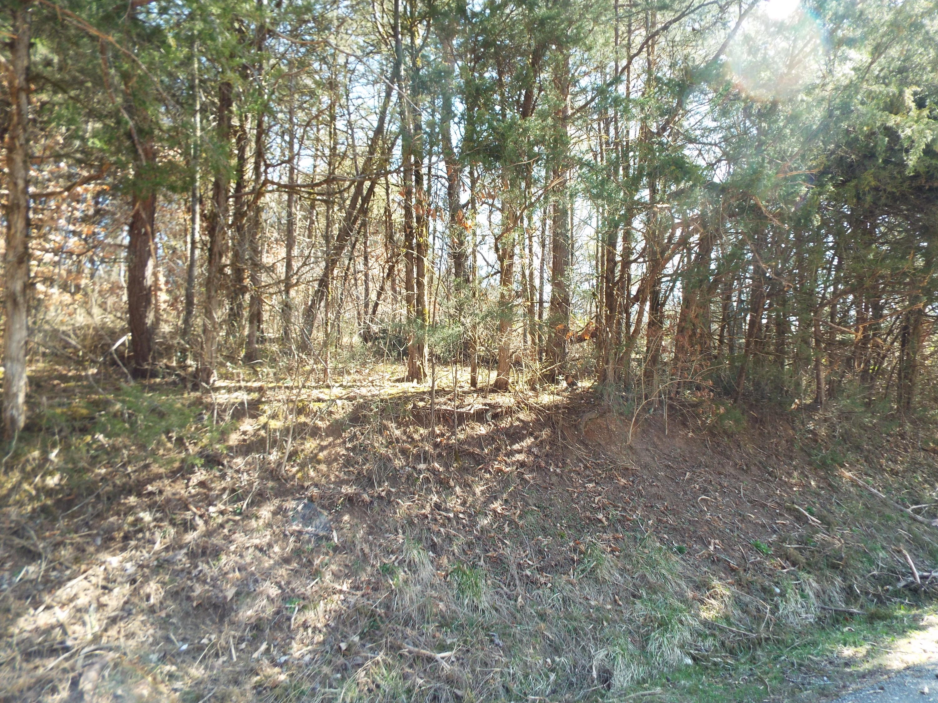 Clearwood Road Newport, TN 37821 - Photo 2 of 11 DSCF6234