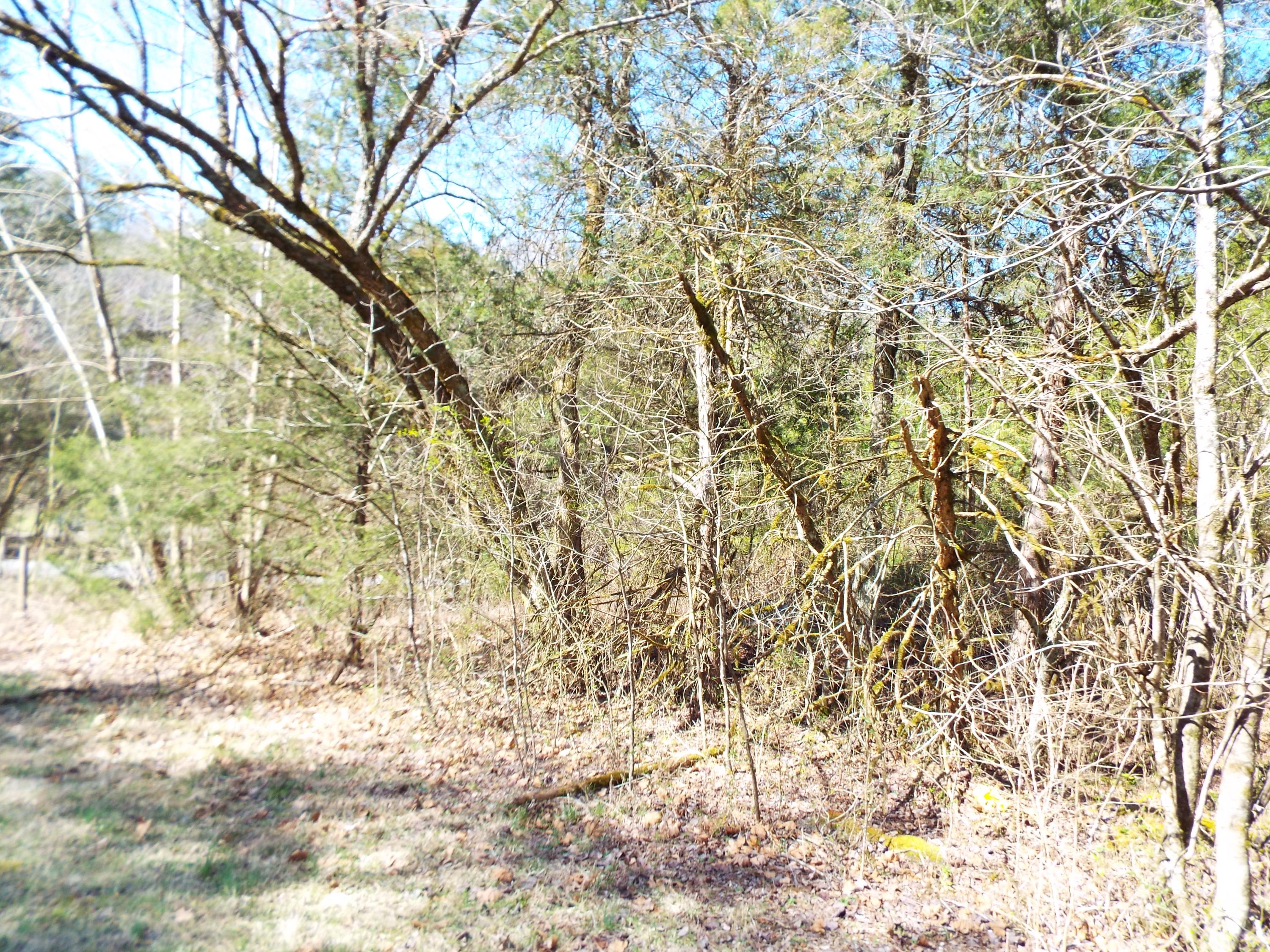 Clearwood Road Newport, TN 37821 - Photo 11 of 11 DSCF6221